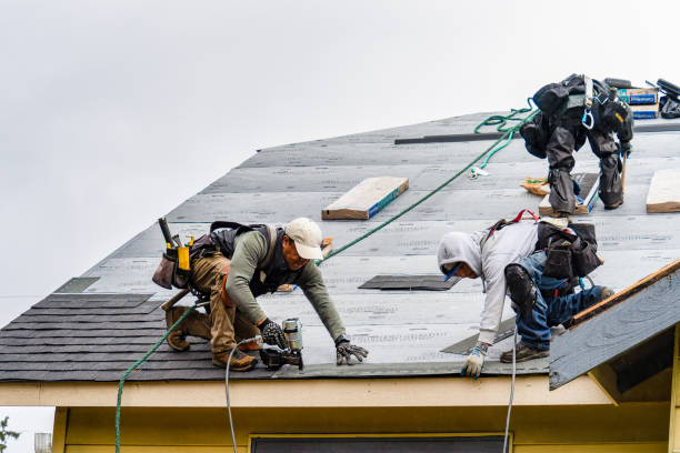 Professional Roofing technician working in Millerton, IA